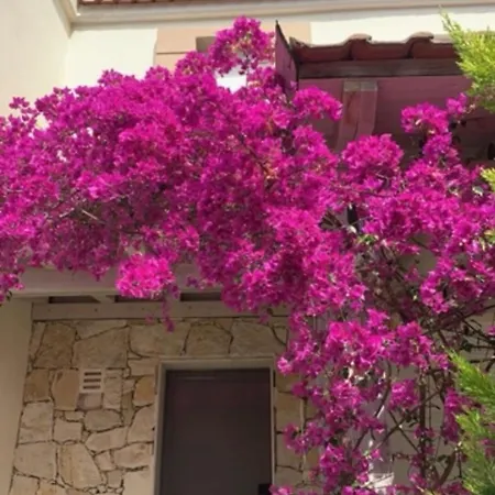 Glarokavos Seaside Dom wakacyjny *