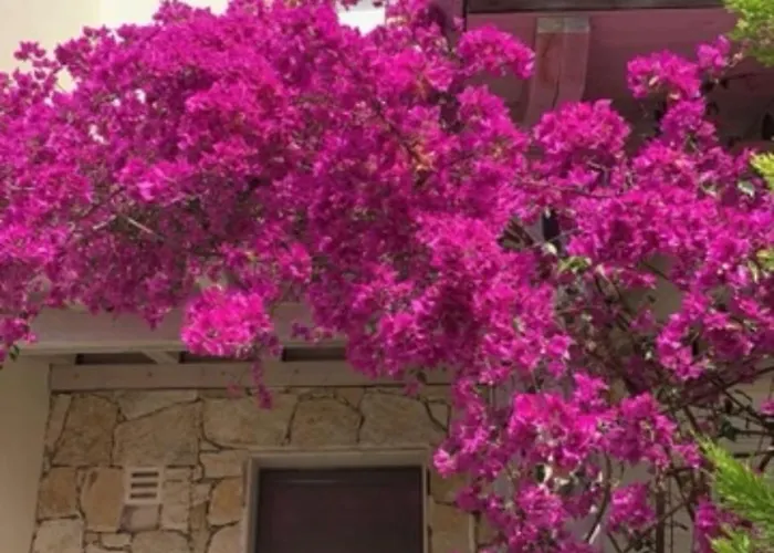 Glarokavos Seaside 度假居 *